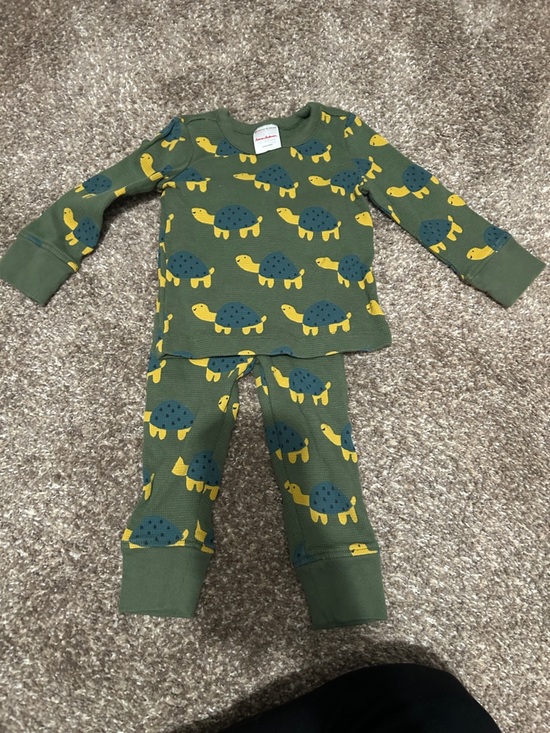 Hanna Andersson Other - Hanna Andersson-Kids Green Turtle Print Pajama Set